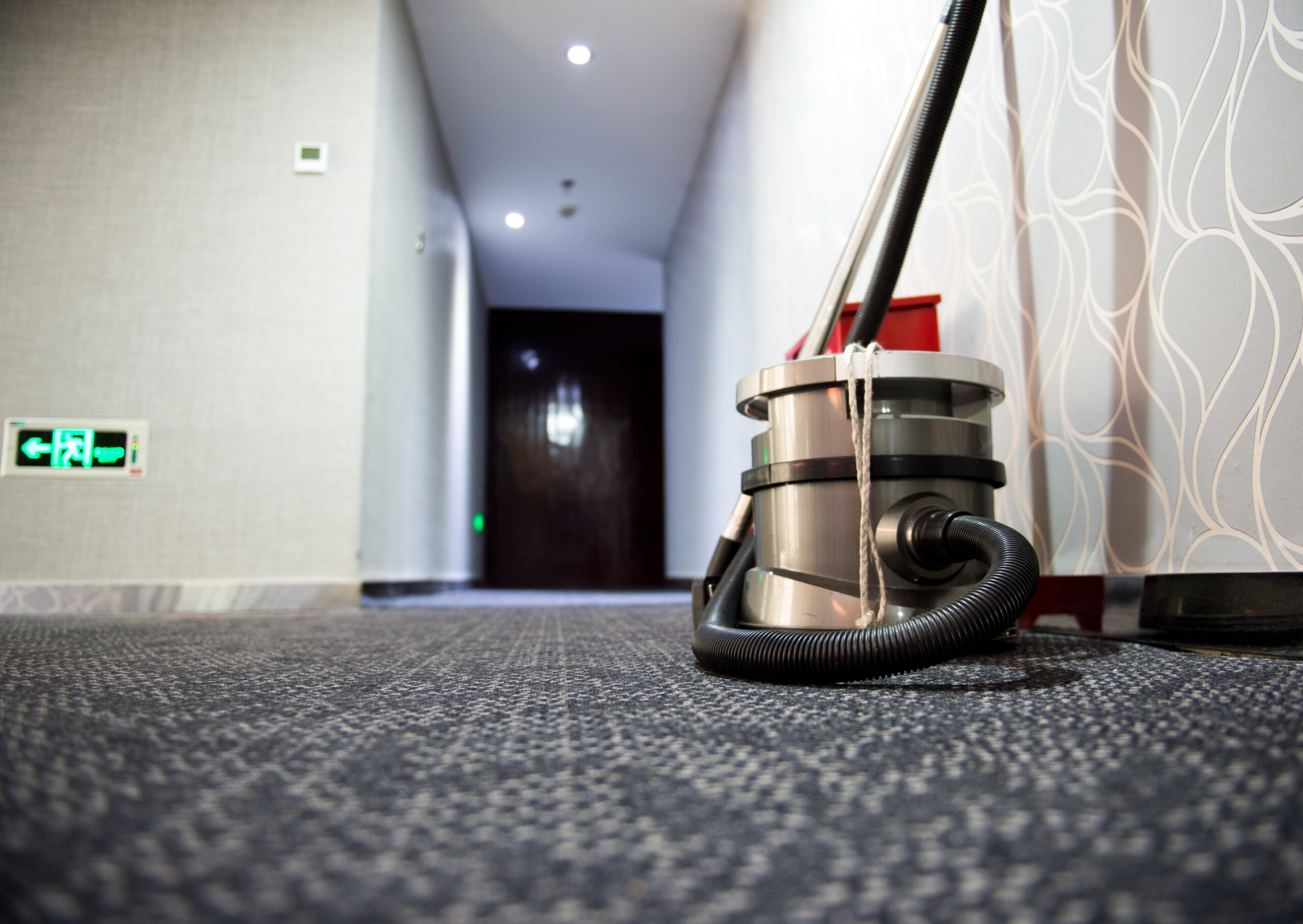 best carpet cleaning