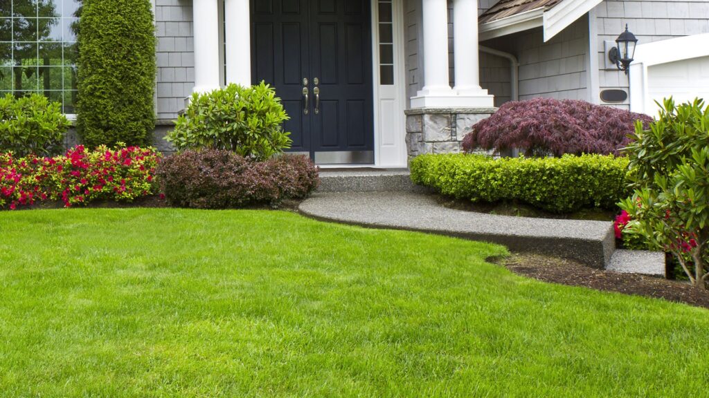 landscape design