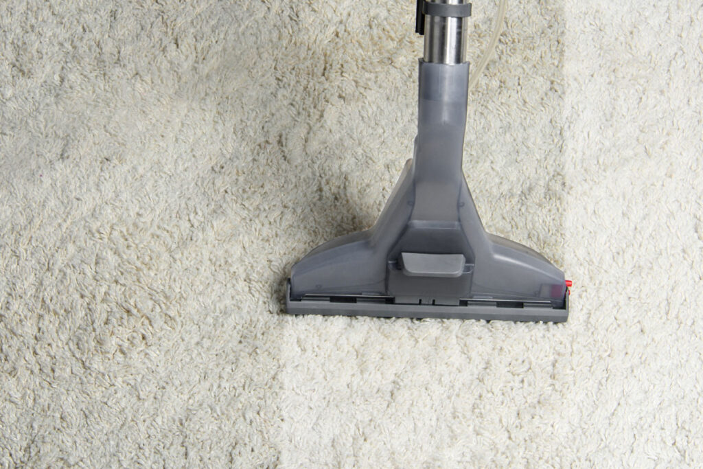 best carpet cleaning