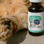 CBD pet capsules