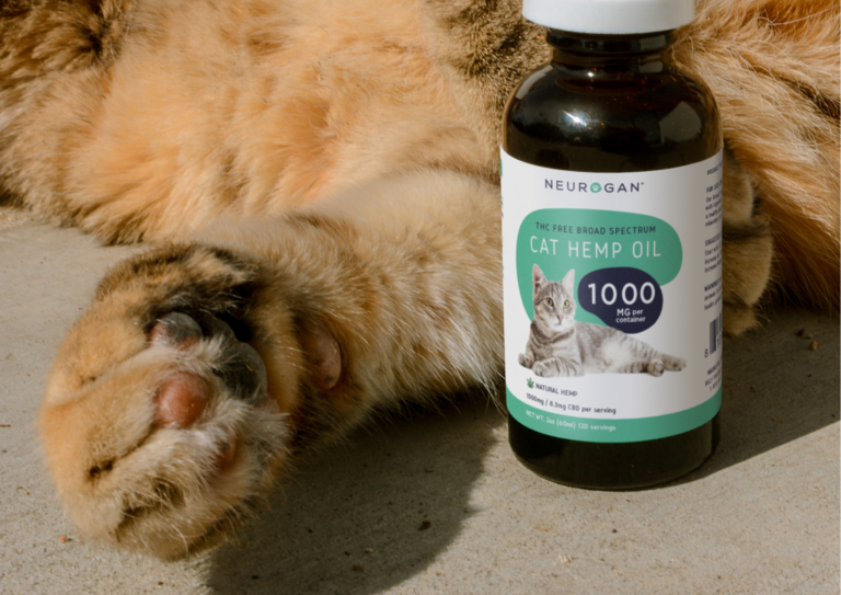 CBD pet capsules
