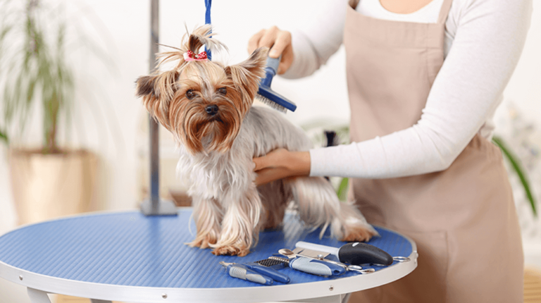 Pet Grooming Service