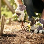 Must-Have Garden Tools