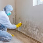 mold remediation in Leawood