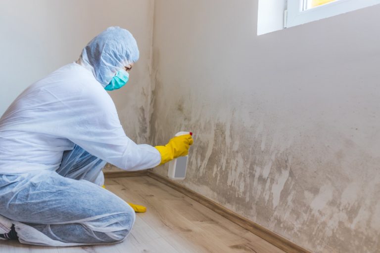 mold remediation in Leawood