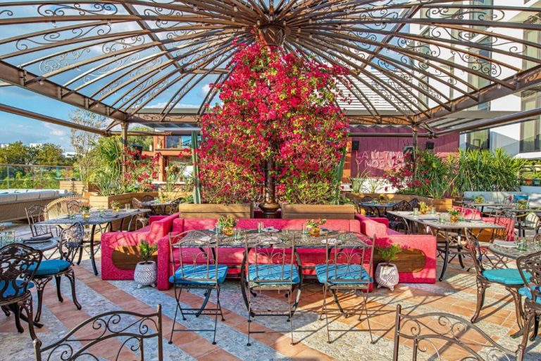 top cpa firms in west palm beach