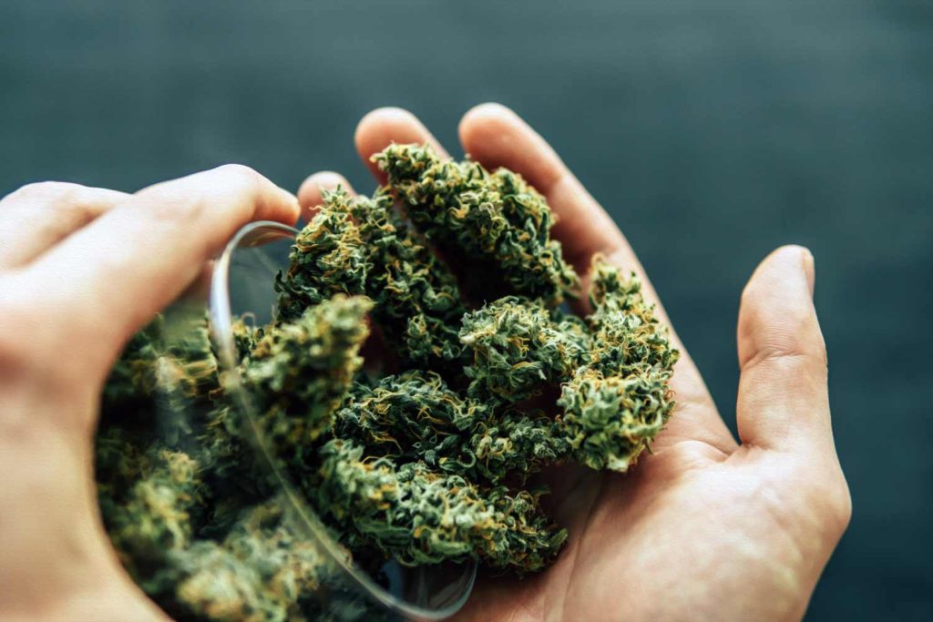 cbd hemp flower