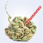 online weed dispensary