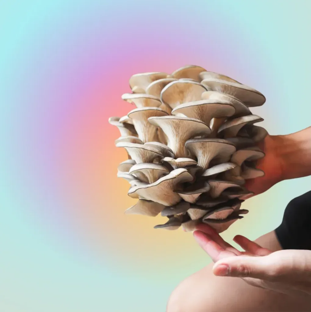 magic mushrooms and depression