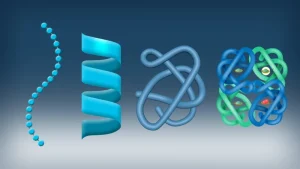 Essential Facts About Peptide Structure and Molecular Composition